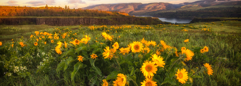 Friends of the Columbia Gorge Launches Third Spring Gorge Haiku Challenge